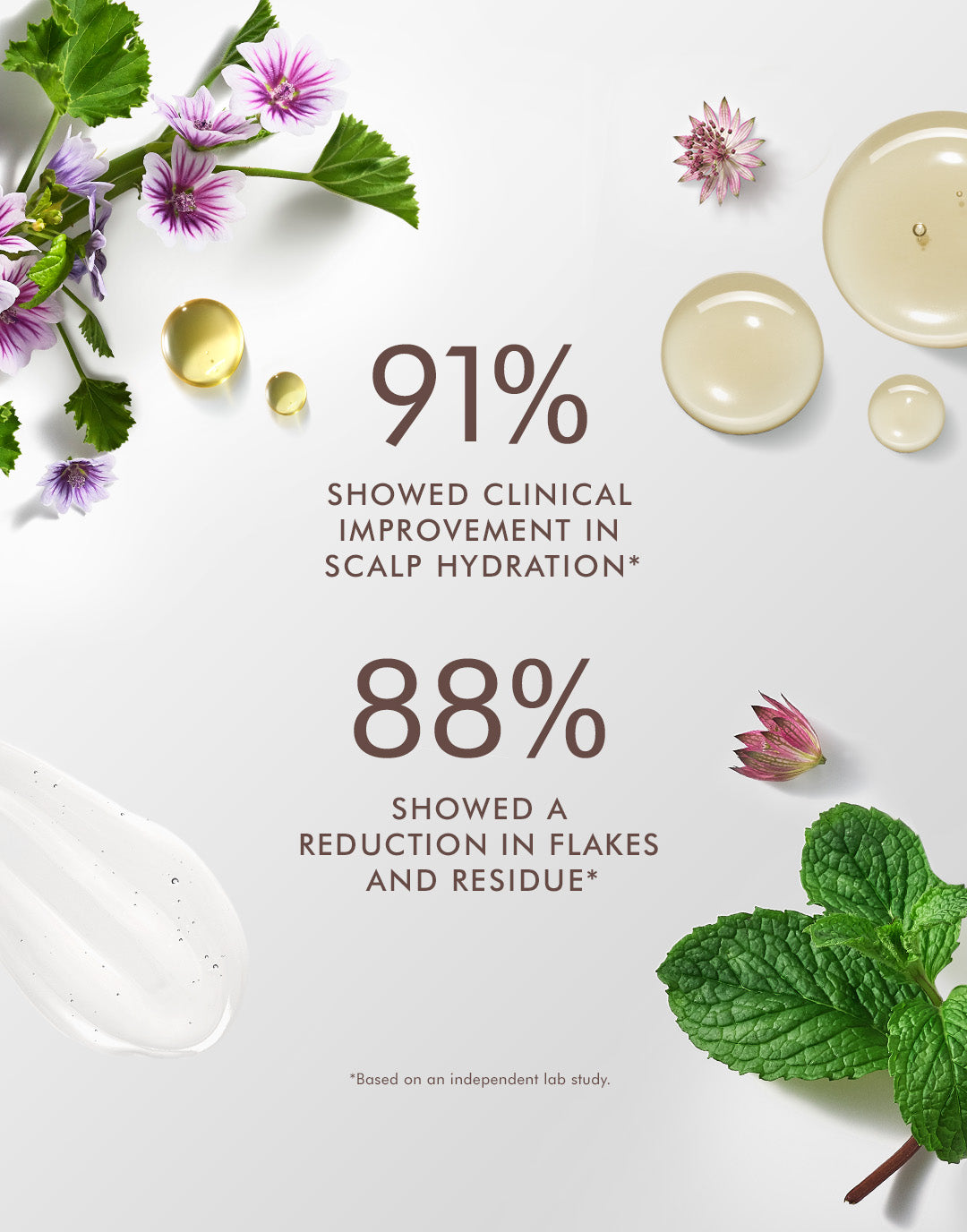 Shampoo Scalp Balancing  
